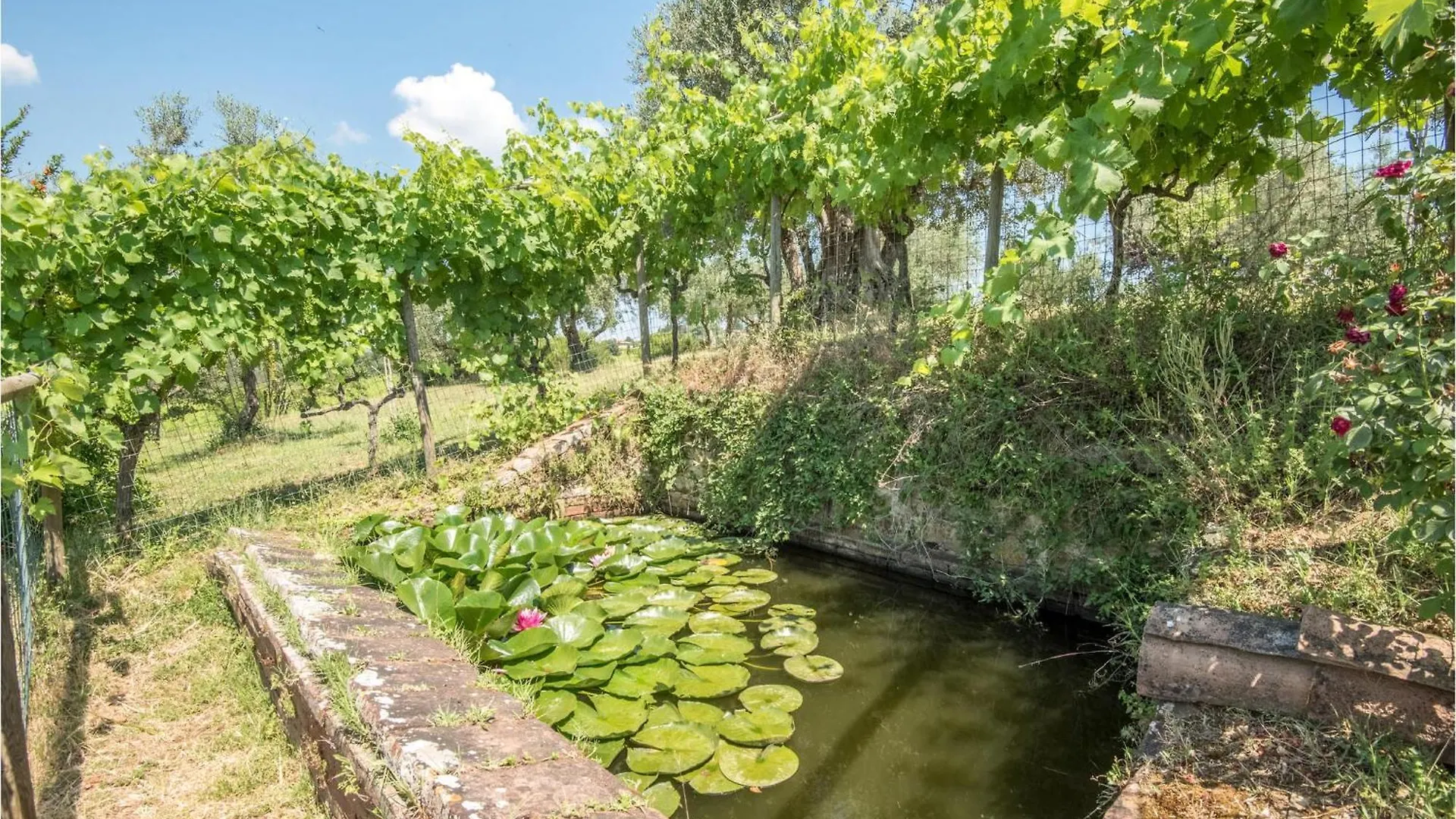 Holiday home Casa Alfredo Villa Siena