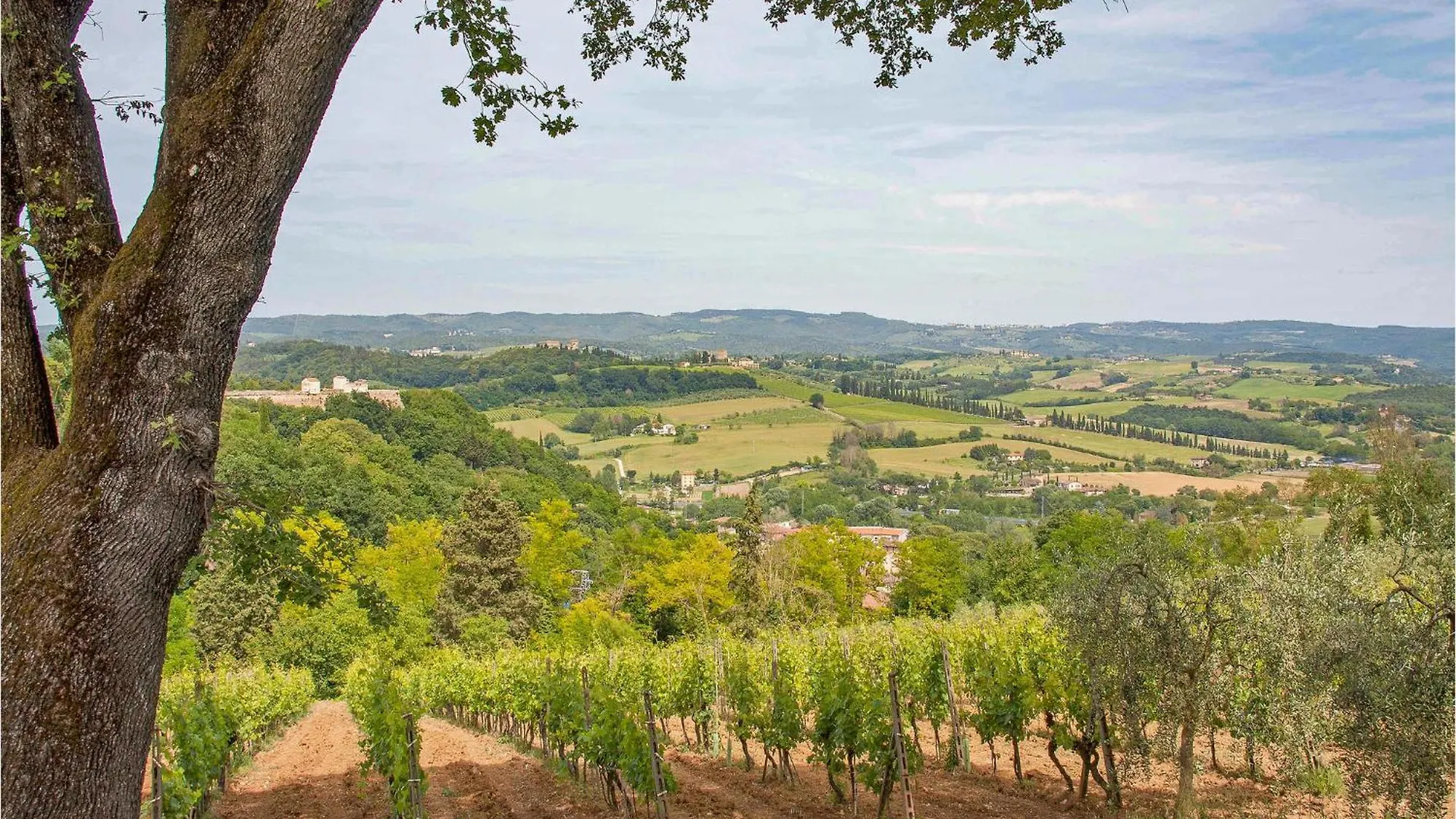 Casa Alfredo Villa Siena Italy